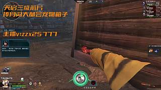 逆战双区狗箱/左轮芯片/活动