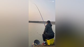 亮gnailux的直播间