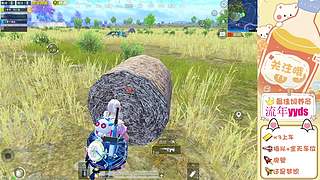 带粉    猛攻猛攻