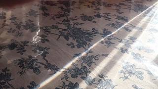 中二少女十七的直播间