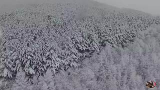 来来嗨嗨嗨
来来来