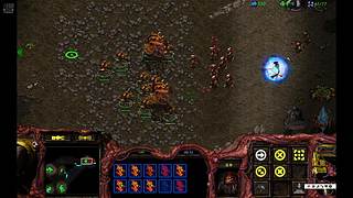 反者道之动732的直播间