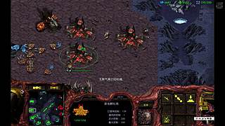 反者道之动732的直播间