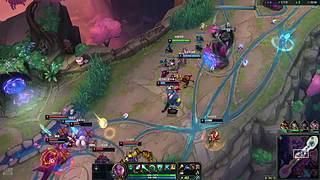 萌新花开富贵！