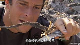 【贝爷】统治食物链顶端的男人~回来啦~！