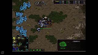 古松的星际直播