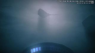 谦卑，学习，升华