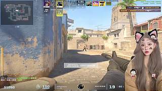 ❤ 今日人设：暴龙兽❤