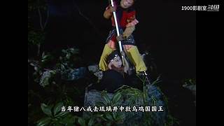 【1900影剧室】精讲剧场