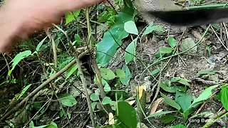 户外丛林生存轮播