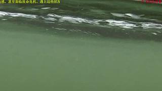 荒野求生，带大家体验不一样的生活