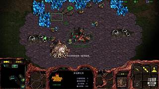 暴风虫族Ameba教你玩转星际争霸I