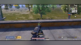 xyz烟花的直播间