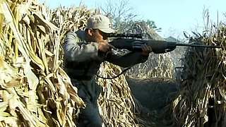 你好，我是顺溜