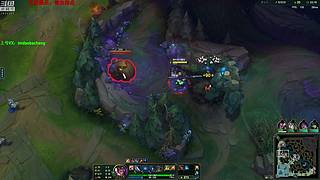 第一赵信丶温文尔雅刀疤城