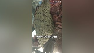 带你一起逛秋叶原