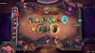 欢迎来到卷心菜