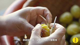 美食台：美国鸡肉名菜左宗棠鸡