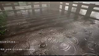 本直播间睡眠质量+1~~~