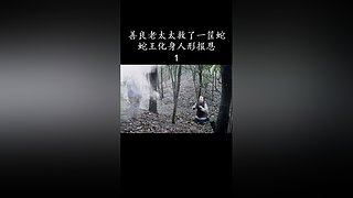 佛曰影视的直播间