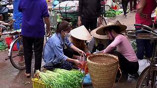 快来听快来看呀