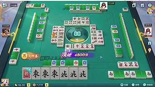 重生之菜鸟逆袭雀神之路