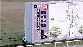 用户9740083139的直播间