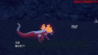 小精灵世界联盟-圣龙