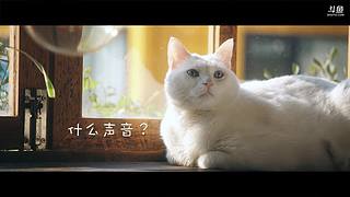 日食记线下店直播中！