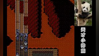 天才小帅熊的直播间