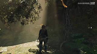 无兄弟不篮球 4840534