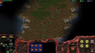 mtn猴子星际争霸