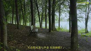 大自然的声音 治愈风景 帮助睡眠