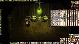 看直播得皮肤 饥荒小明鸽i