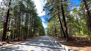 200多斤的胖子的直播间