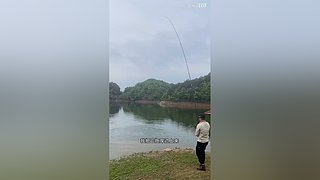 亮gnailux的直播间