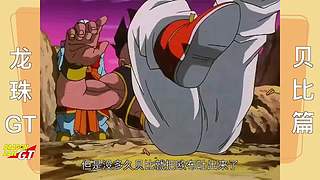 那夜的雨，也没能留住你