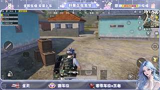 领你的王者搭子