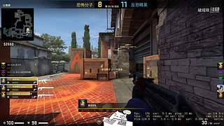 【人道洛阳花似锦】偏我来时不逢春