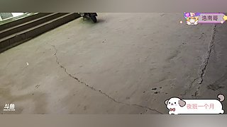 白白胖胖充满希望 9089676