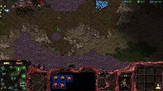 小零粉的直播间