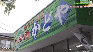 新治愈篇美食家 点餐美食