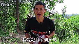 生蚝还可以这样吃