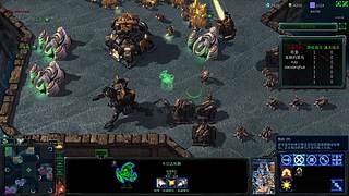 联机联机，今天播这个