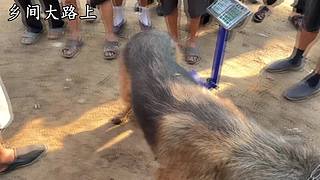 第一次开播 9827757