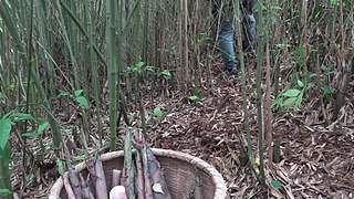 乡土记食的直播间