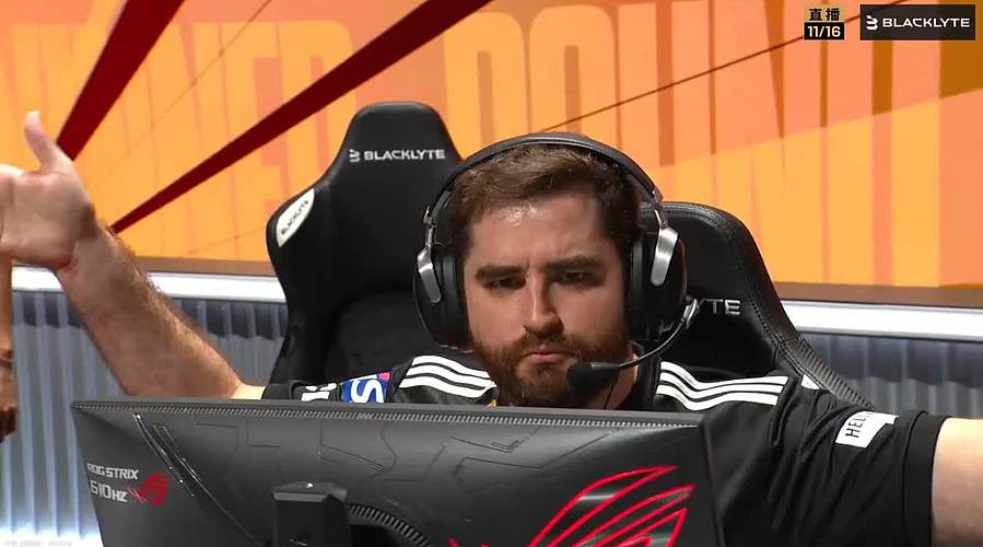 黄蜂披甲，内外皆刚