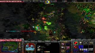 魔兽达尔文进化岛直播间