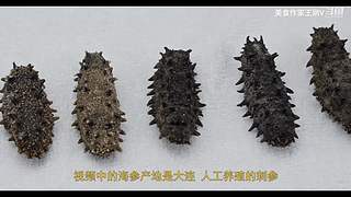 厨师长教你做菜