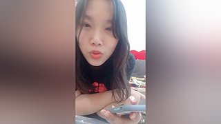 萌宠  零食制作